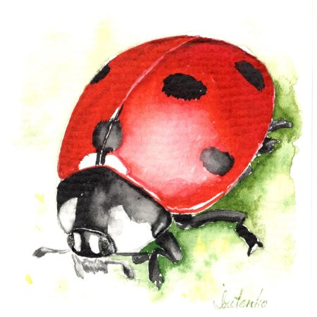 Божья коровка живопись