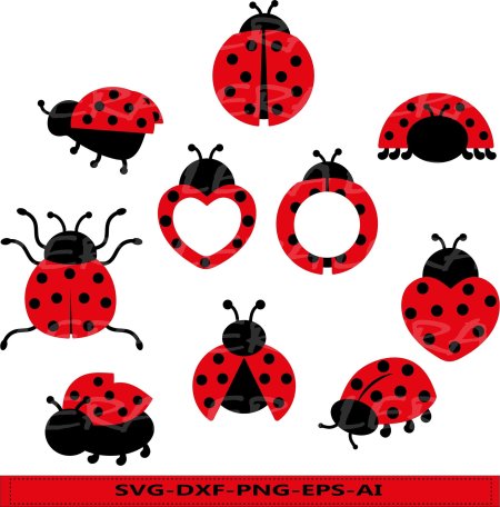 Маленькая божья коровка