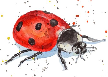 Божья коровка акварель