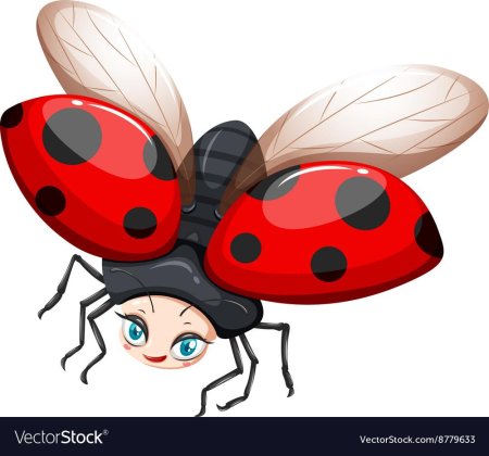 Божья коровка с расправленными крыльями