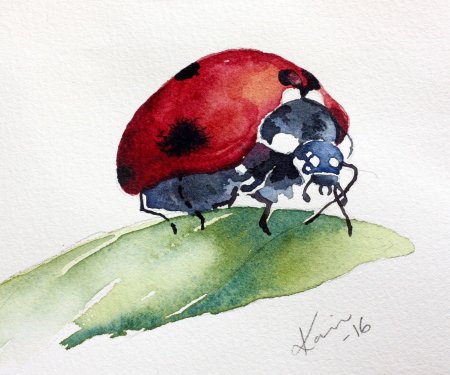 Божья коровка акварель