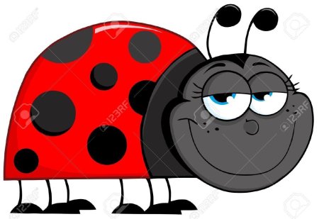 Божья коровка гастон