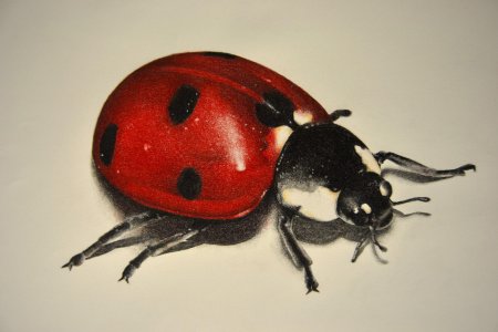 Божья коровка стилизация