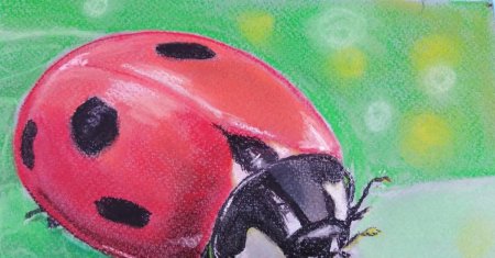 Божья коровка пастелью