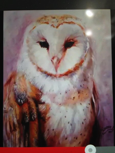 Сова картина