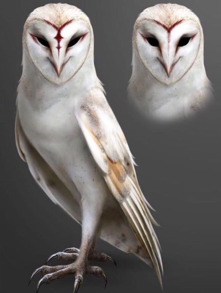 Сипуха легенды ночных стражей