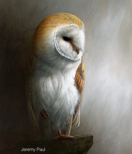 Художница-анималист rebecca latham