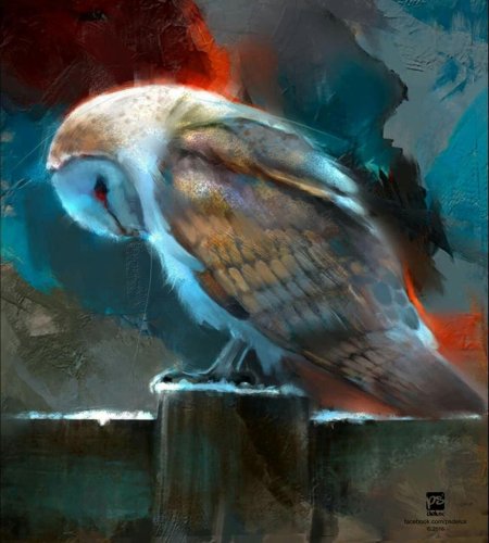 Линдси кустуш сова