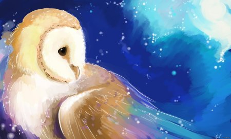 Космическая птица