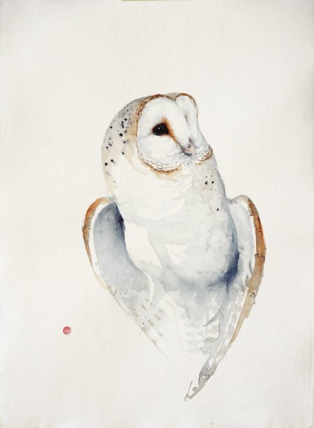 Сова karl martens