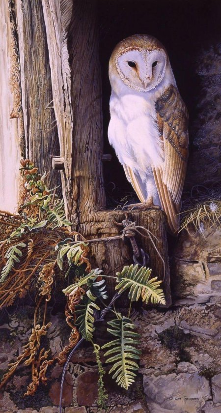 Совы - роберт бейтман художник