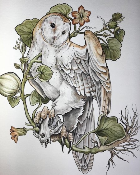 Сова сипуха тату