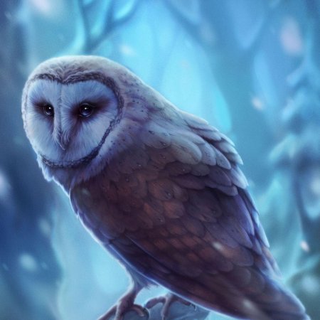 Полярная сипуха