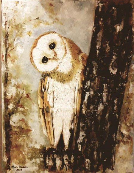 Сова сипуха картина