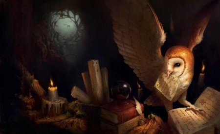 Легенды ночных стражей мультфильм