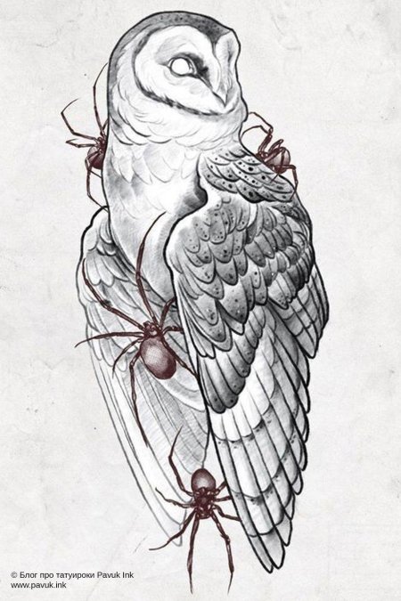 Тату эскиз сова