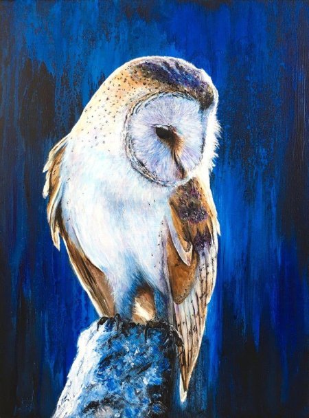 Сипуха картина