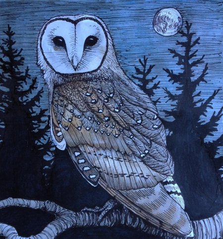 Совы в стиле арт