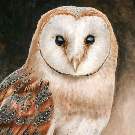 Сова живопись