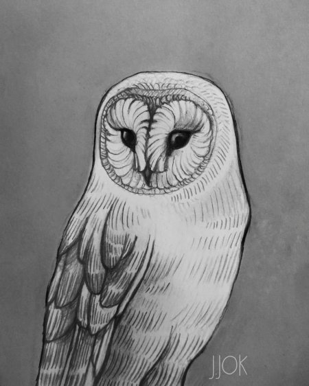 Рисунки совы карандашом
