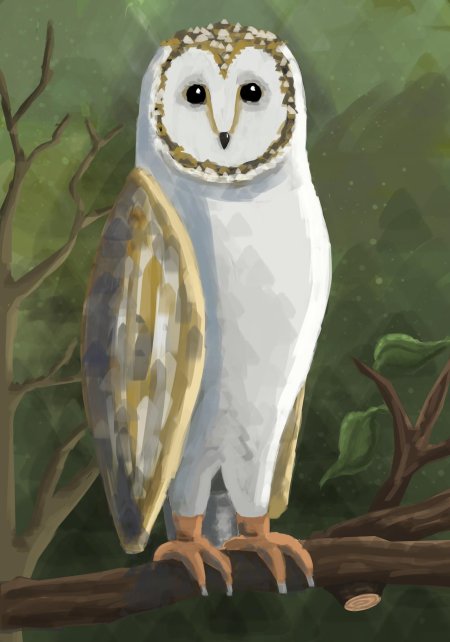 Сова сипуха арт