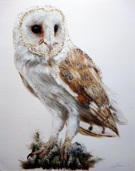 Белая сипуха