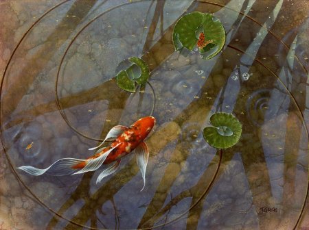 Карпы кои терри жилецки