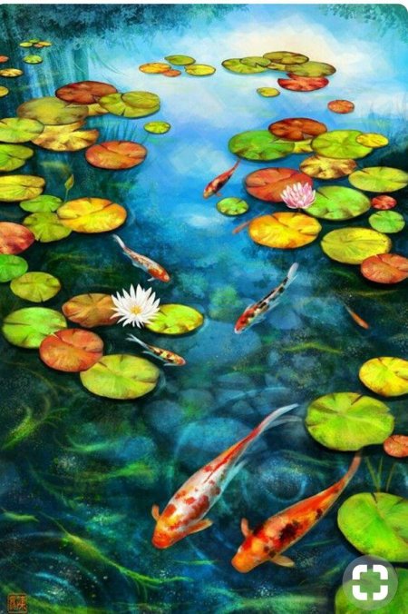 Пруд с рыбками