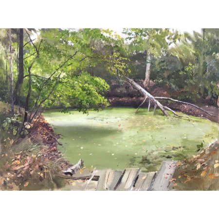 Поленов художник заросший пруд