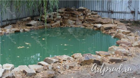 Плавательный пруд