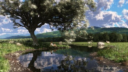 Дерево пейзаж