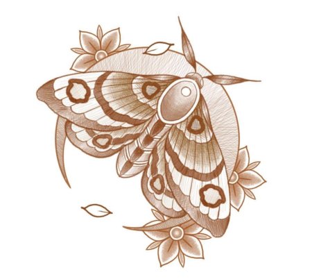 Мотылек эскиз