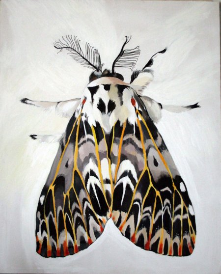 Мотылек рисунок