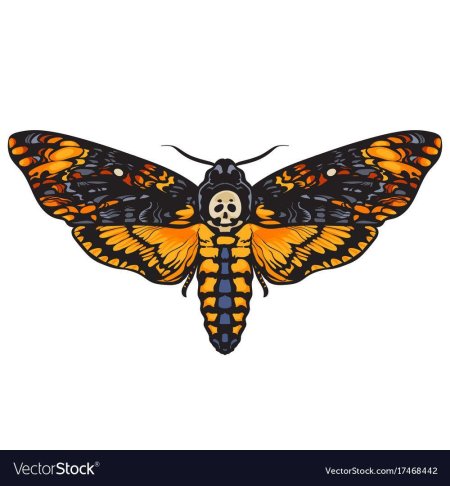 Бабочка бражник мертвая голова