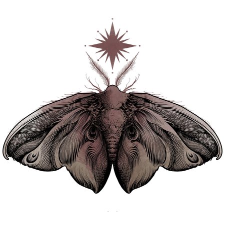 Мотылек эскиз тату