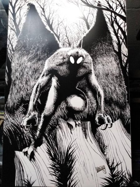 Человек мотылек легенда