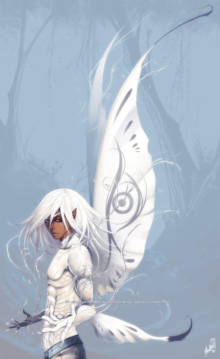 Крылатые эльфы