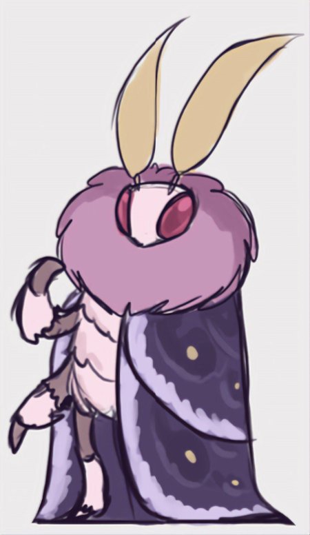 Hollow knight moth