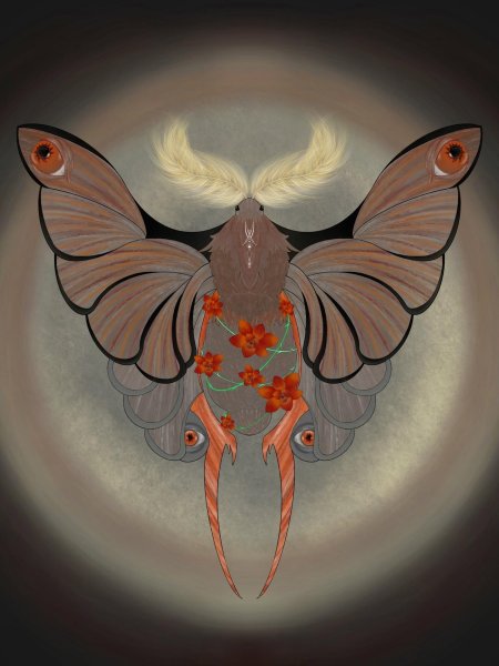 Мотылек арт
