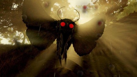 Человек мотылёк в fallout