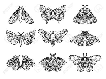 Бабочка эскиз