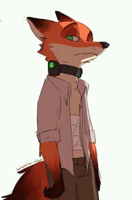 Ник из зверополиса