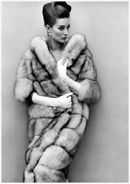 Вильгельмина купер