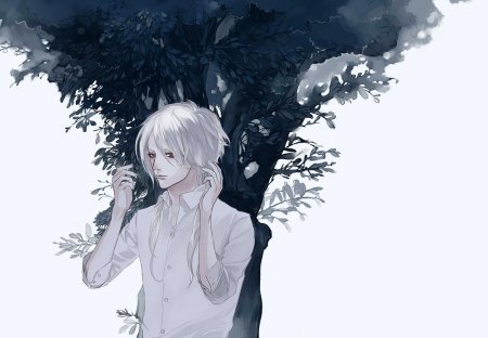 Аниме омега кун альбинос