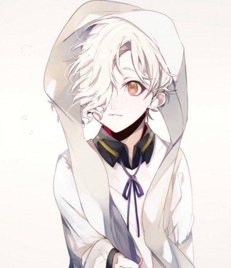 Гокотай тоукен