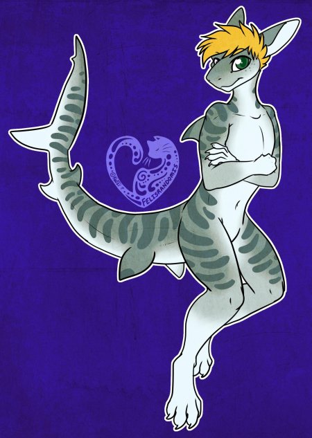 Шарко акула furry