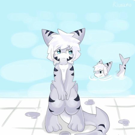 Changed furry акула