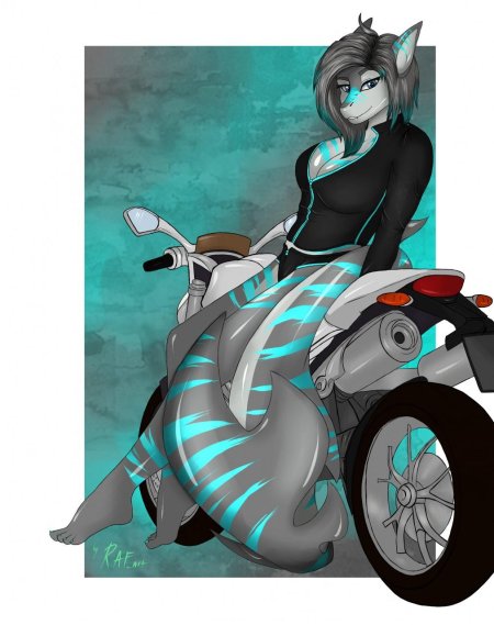 Фурри акулы nika sharkeh комикс