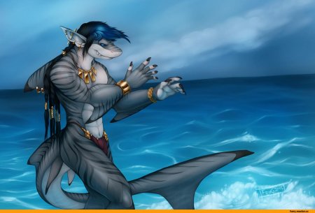 Фурри акулы шарк