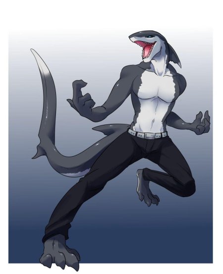 Антро акула